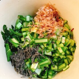 低カロリーな昆布で健康的にダイエット 大切な3つの栄養素も豊富